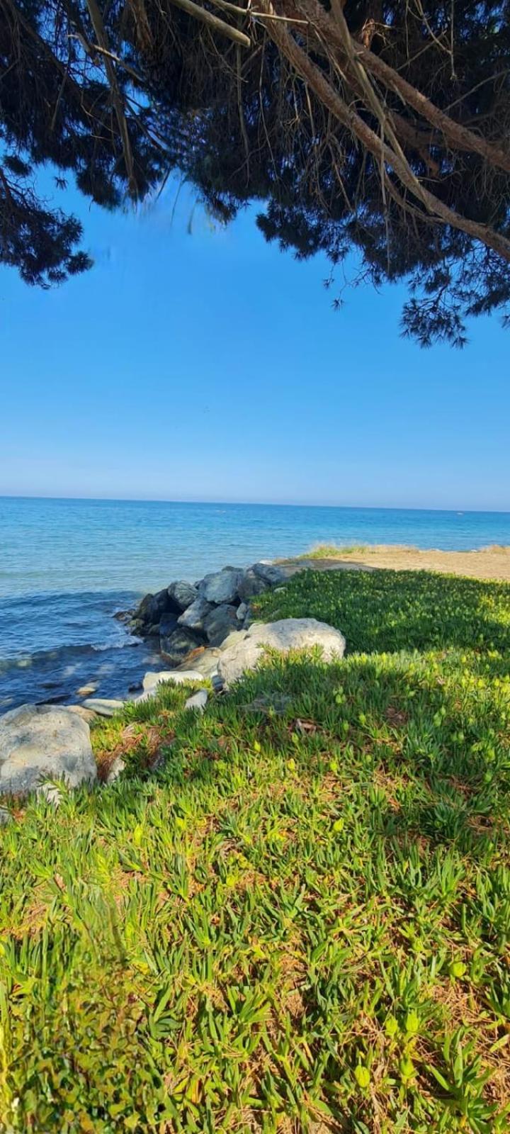 Apartment Limiria Santa-Maria-Poggio (Corsica)